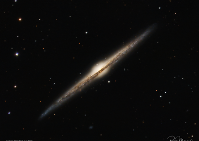 NGC 4565 – La galaxie de l’Aiguille