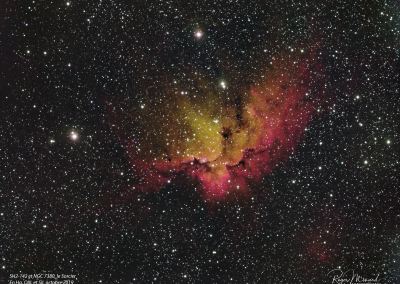 NGC 7380 – Nébuleuse du Sorcier