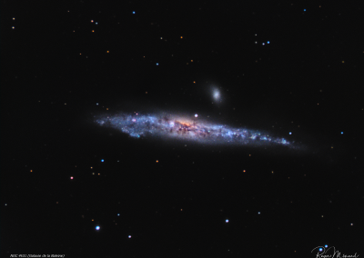 NGC 4631 – La galaxie de la Baleine